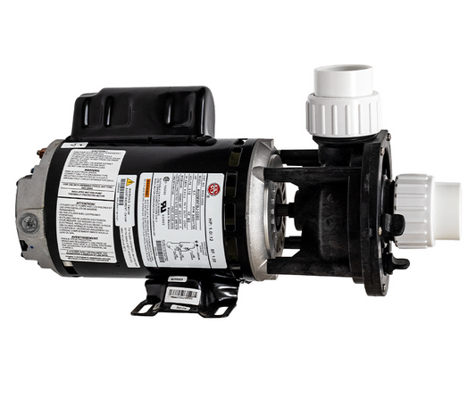 Gecko Alliance Flomaster FMCP Pump 1hp, 115V, 2Spd, 48Y (No Cord) 02610000-1010