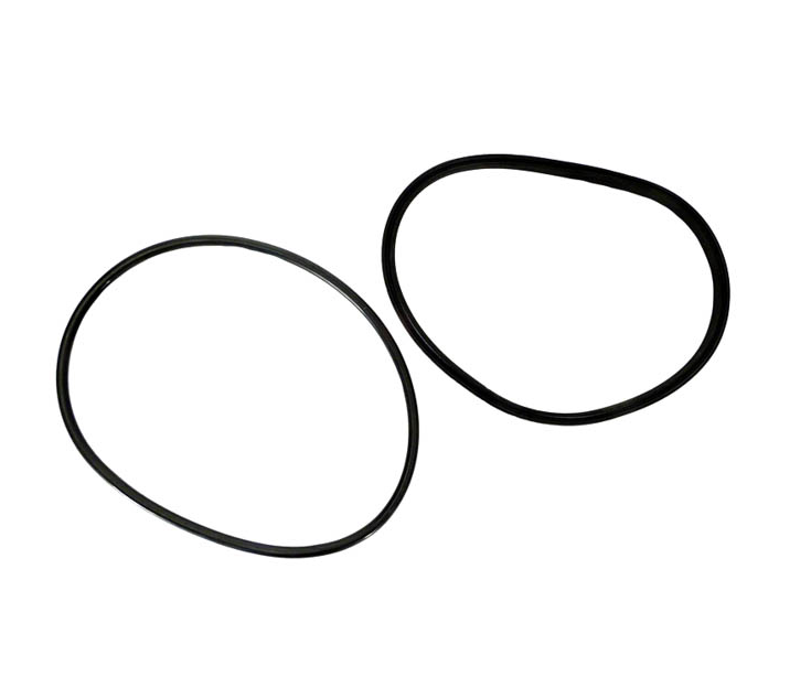 Jandy Pump Lid O-Ring & Seal Kit R0446200