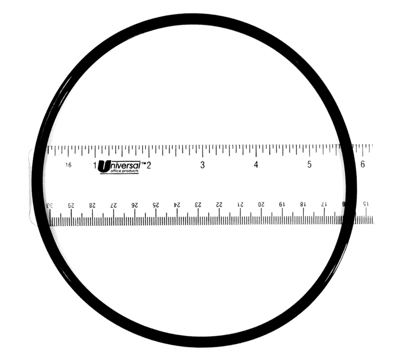 Pentair Lid O-Ring R172240Z