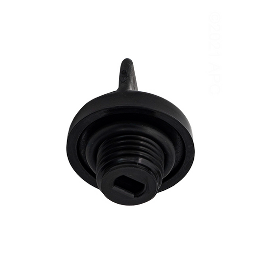 Pentair .25" MPT Drain Plug w/O-Ring U178920PZ