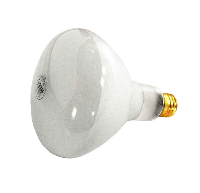 APC 120V 500W Pool Light Bulb APC120500M
