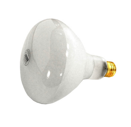 APC 120V 500W Pool Light Bulb APC120500M