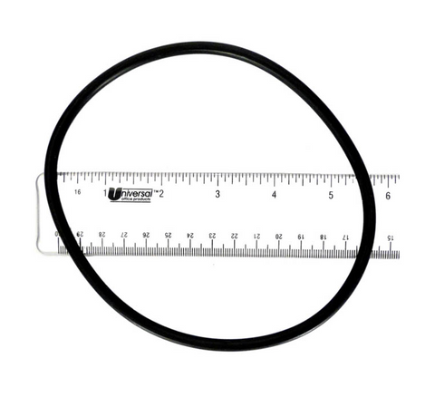APC Strainer Cover O-Ring APCO2422