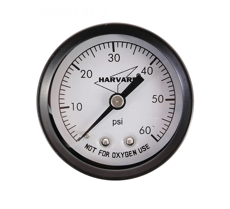American Granby .25" Back Mount Steel Pressure Gauge IPG6024B