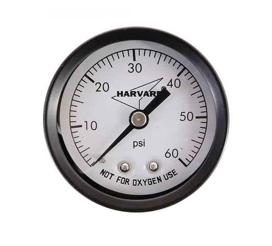 American Granby .25" Back Mount Steel Pressure Gauge IPG6024B