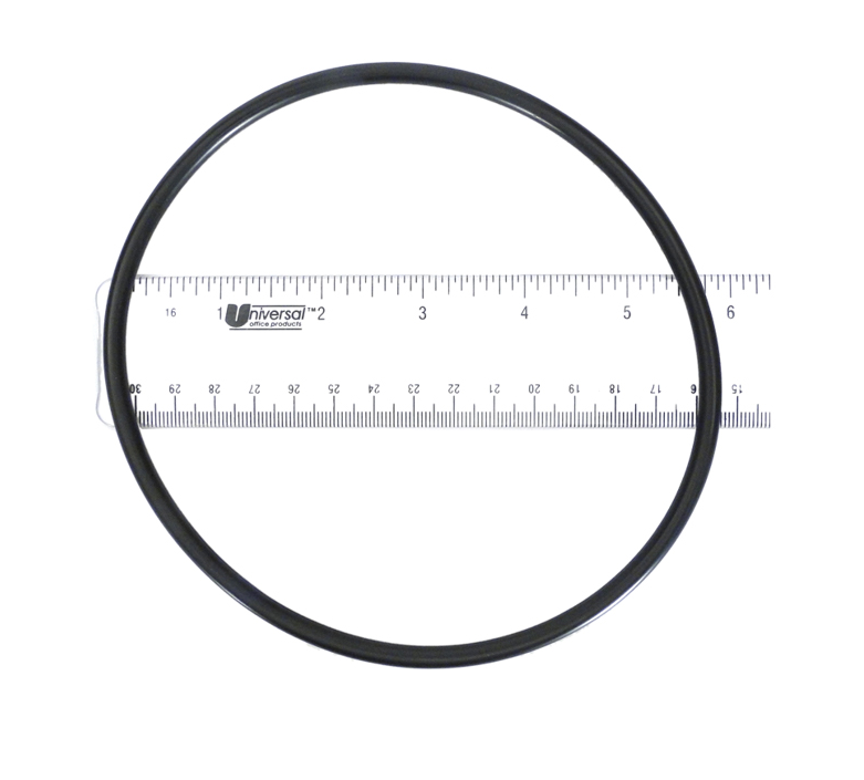 Pentair Pump Lid O-Ring 357255