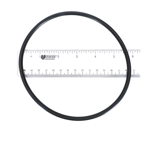Pentair Pump Lid O-Ring 357255