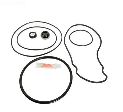 Pentair WhisperFlo & IntelliFlo Repair Kit