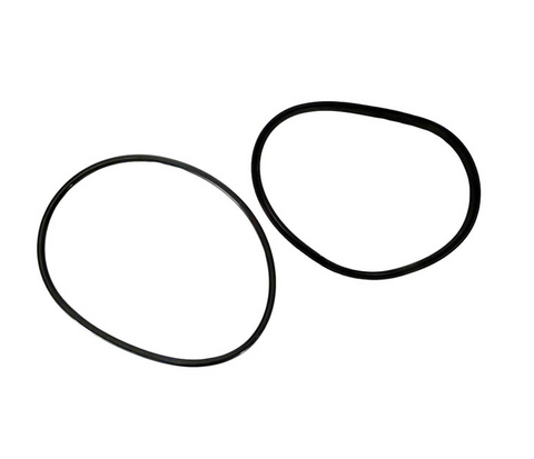 Jandy Pump Lid O-Ring & Seal Kit R0446200