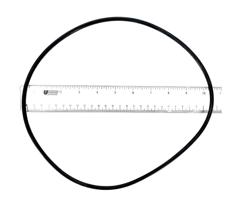Jandy/Zodiac Backplate O-Ring R0446300
