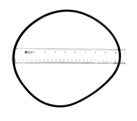 Jandy/Zodiac Backplate O-Ring R0446300