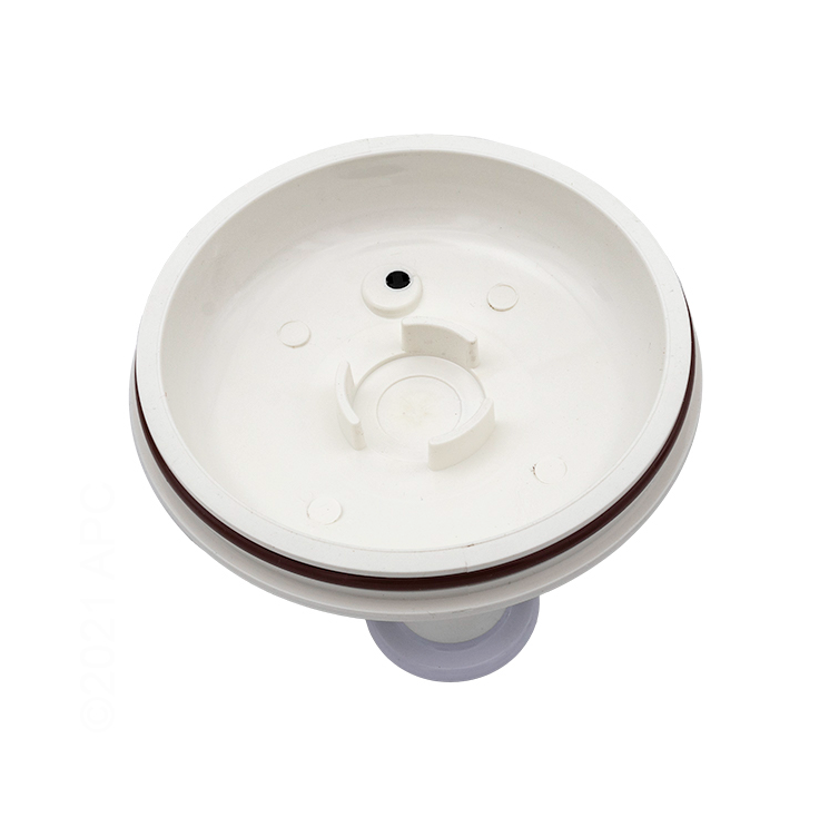 Pentair Lid Assembly R172385D