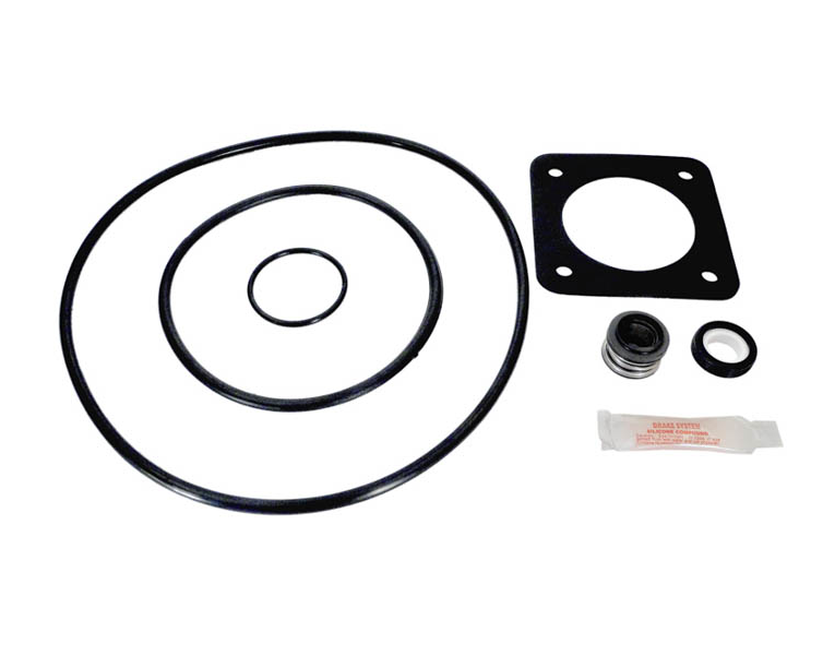 Sta-Rite Max-E-Glas & Dura-Glas Seal Kit 98 to Present APCK1051