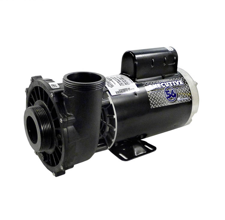 Waterway Executive 5HP 230V 2Speed 56Y Spa Pump WW37220211D